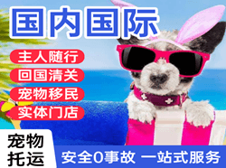 西宁曹家堡航空货运国际宠物托运 【国